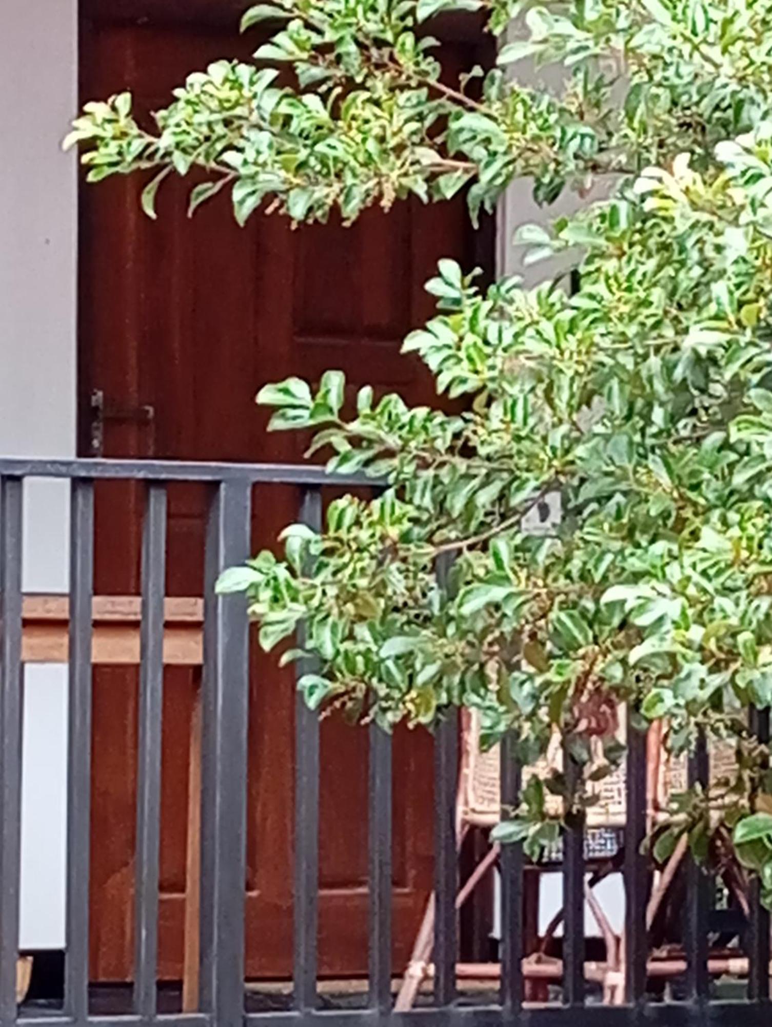 Ceylonima Home Stay Anuradhapura Room photo